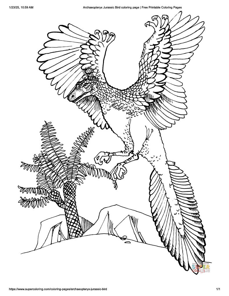 Archaeopteryx 2