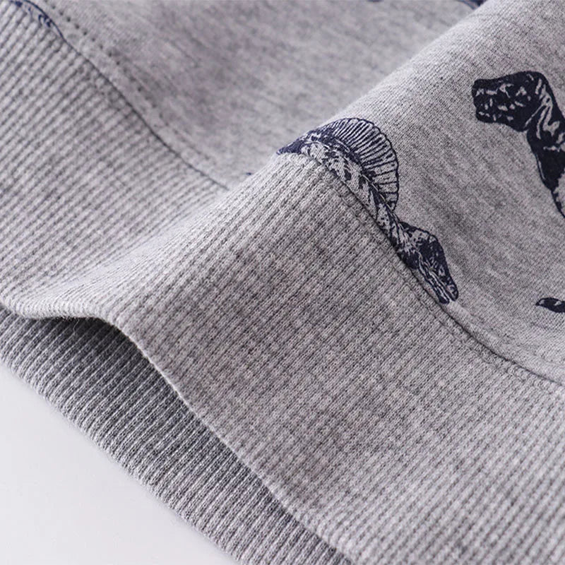 Dinosaur Hoodie – Cotton Sweatshirt for Kids, Spring & Autumn Casual Top