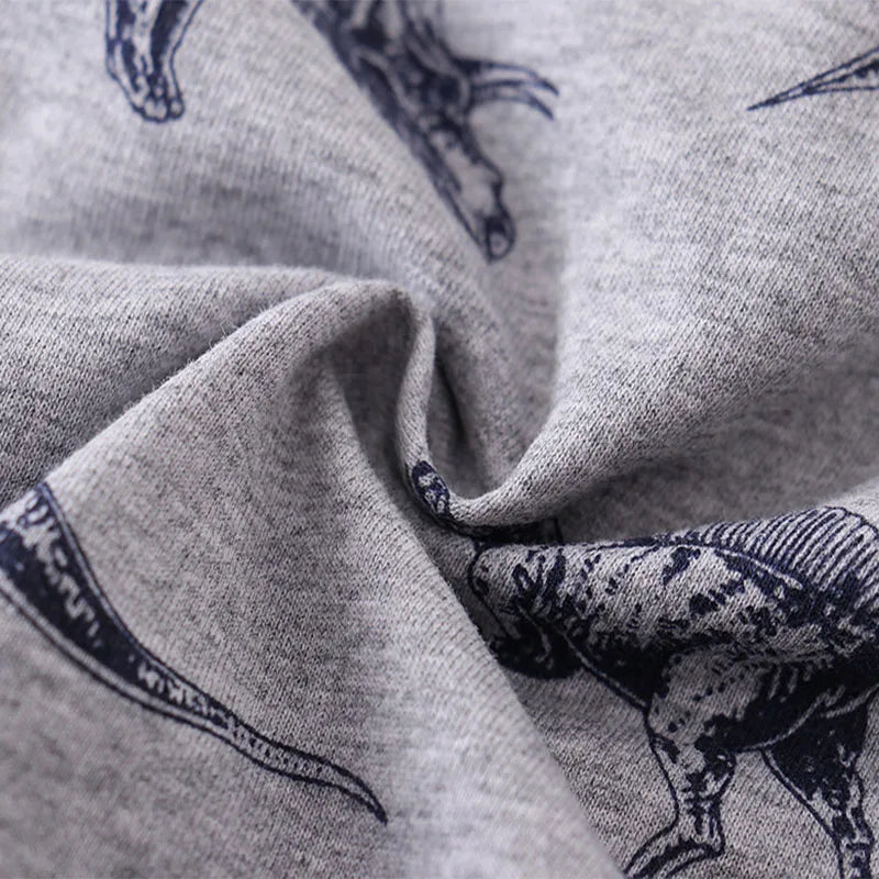Dinosaur Hoodie – Cotton Sweatshirt for Kids, Spring & Autumn Casual Top