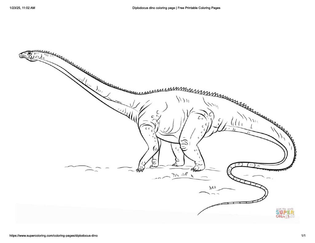 Diplodocus