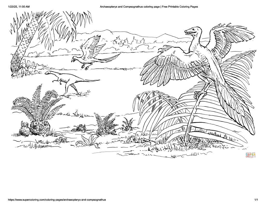 Archaeopteryx