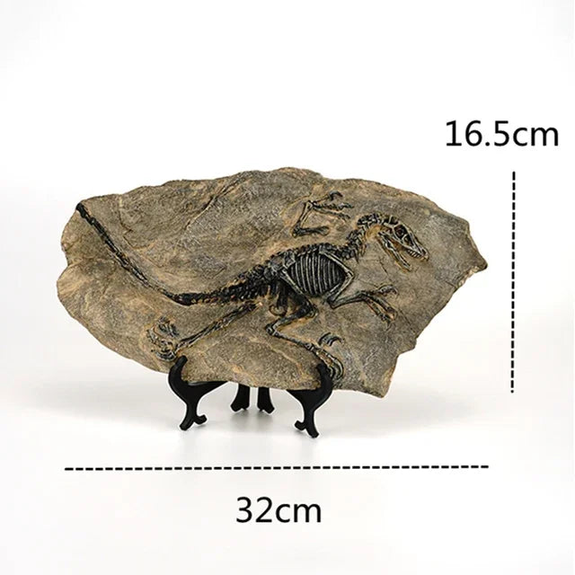 Creative Dinosaur Fossil Resin Craft Decoration Retro Animal Statue Miniature Indoor Living Room Decoration Souvenir Home Gift