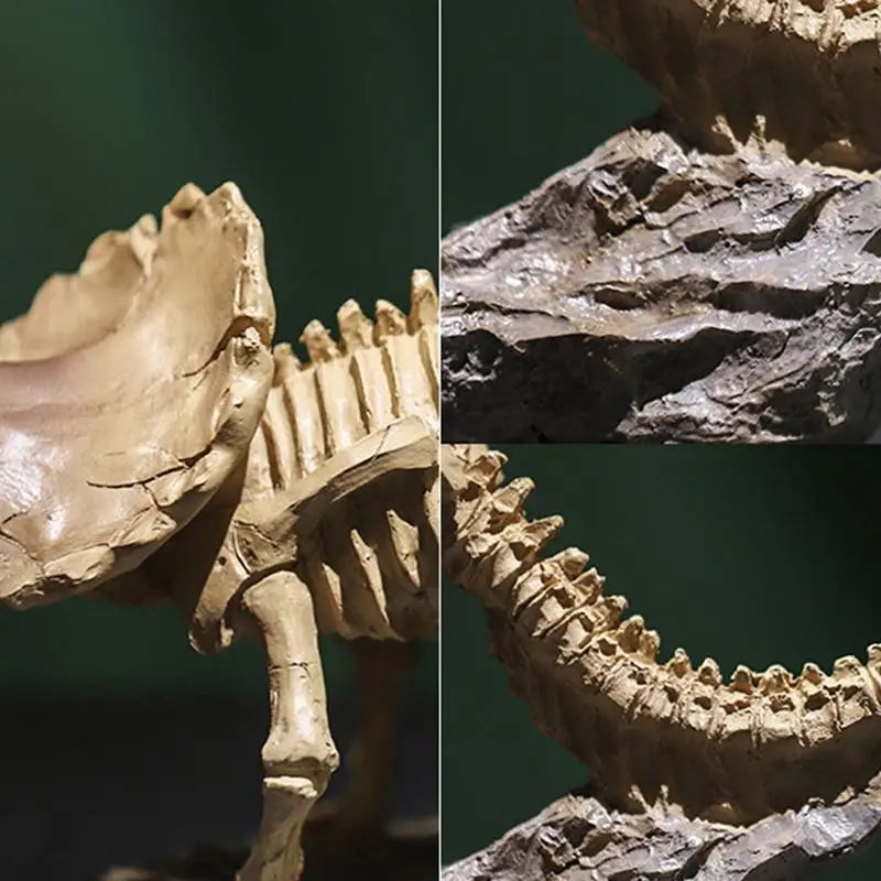 DIY Triceratops Dinosaur Skeleton Model