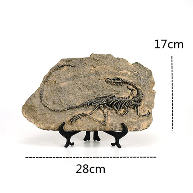 Creative Dinosaur Fossil Resin Craft Decoration Retro Animal Statue Miniature Indoor Living Room Decoration Souvenir Home Gift