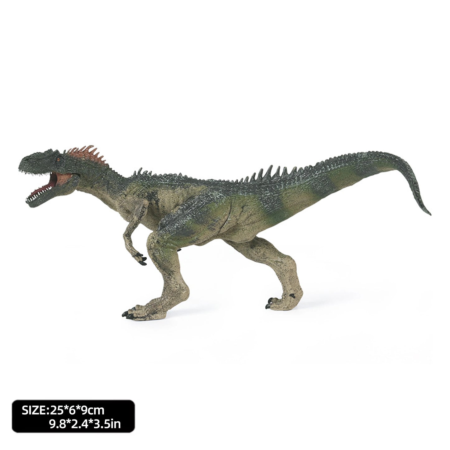 Jurassic Allosaurus Static Model