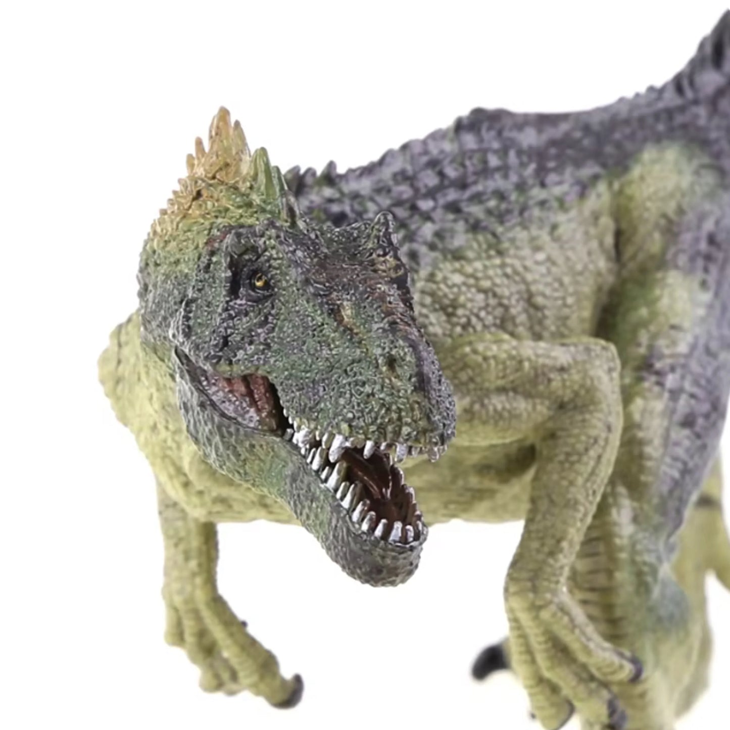 Jurassic Allosaurus Static Model