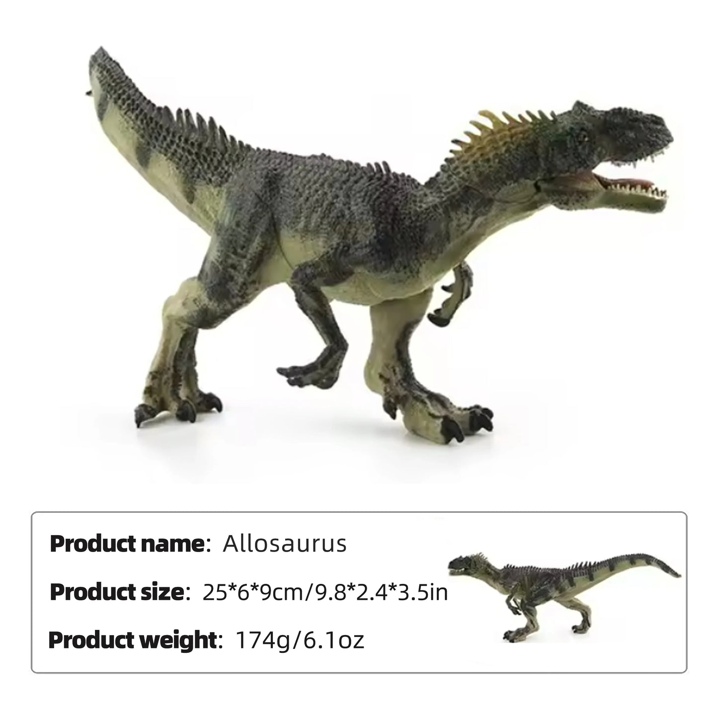 Jurassic Allosaurus Static Model