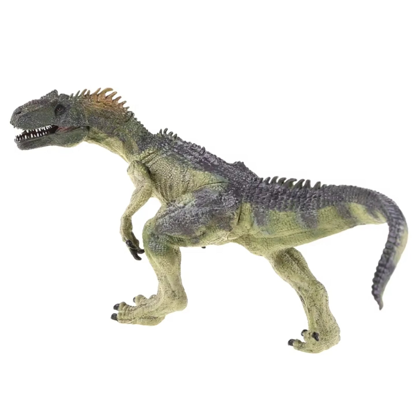 Jurassic Allosaurus Static Model