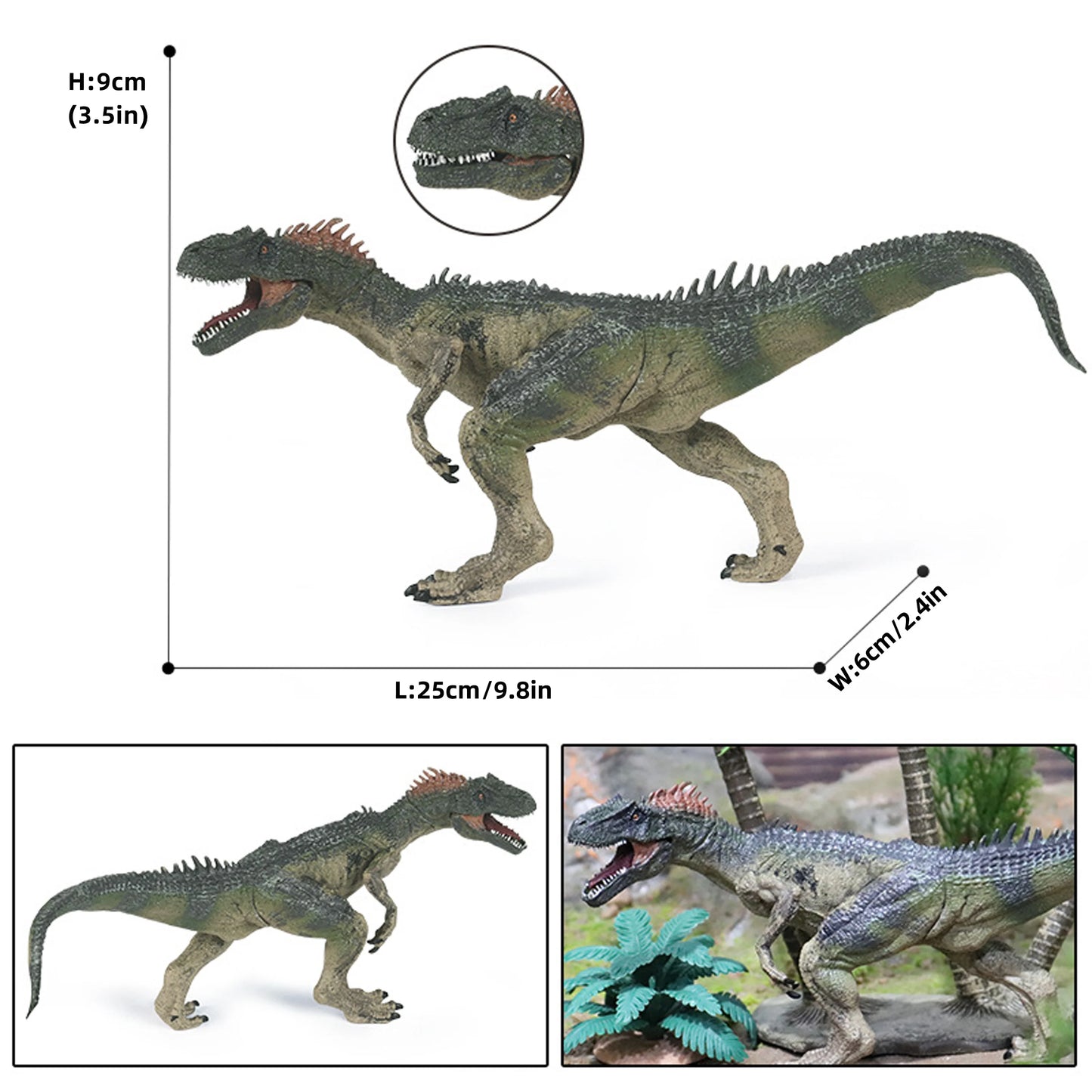 Jurassic Allosaurus Static Model